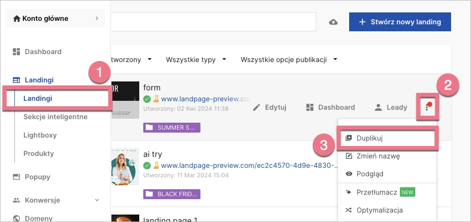 Nawigacja do duplikacji landing page'a