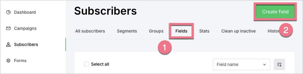 Adding new field in MailerLite
