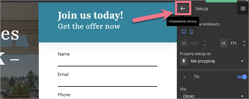 Ustawienia strony w edytorze Landingi