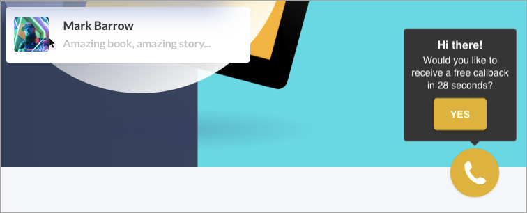 callpage widget landingi
