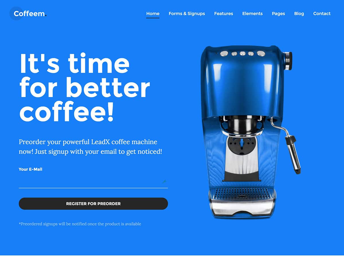 Przykład szablonu landing page