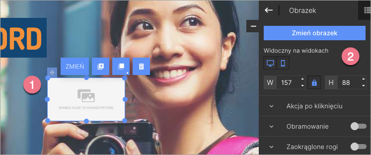 opcje widgetów landingi