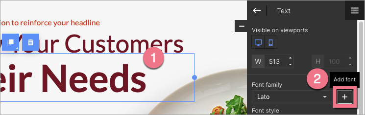 Adding custom font in landing page builder