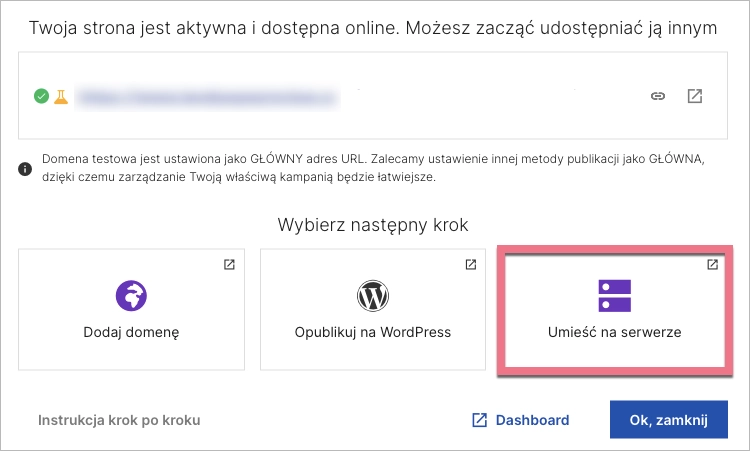 Publikacja przez umieszczenie na serwerze