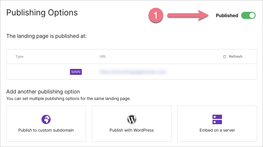 Publishing options in landingi