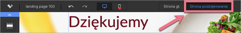 strona po konwersji landingi