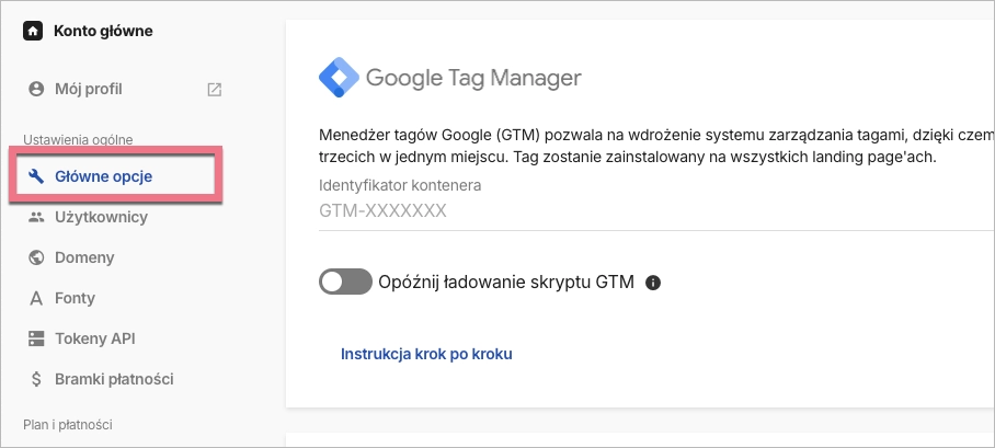 Główne opcje i GTM w Landingi