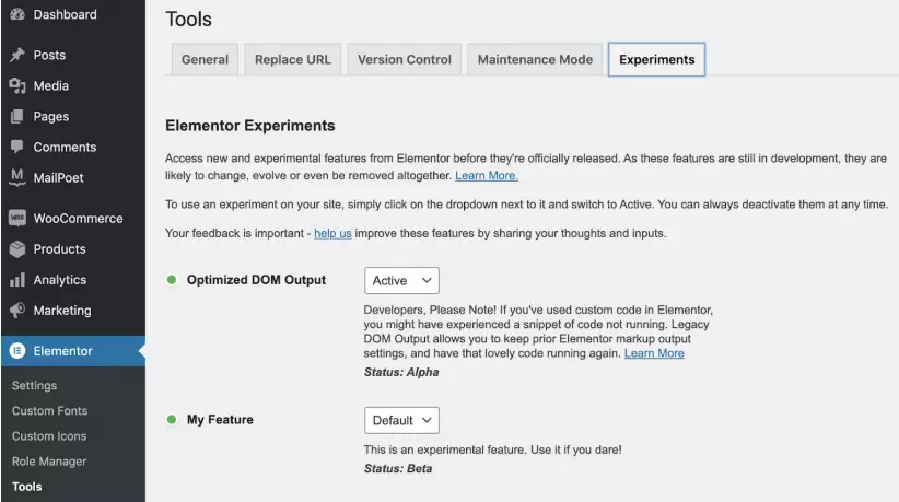 elementor experiments