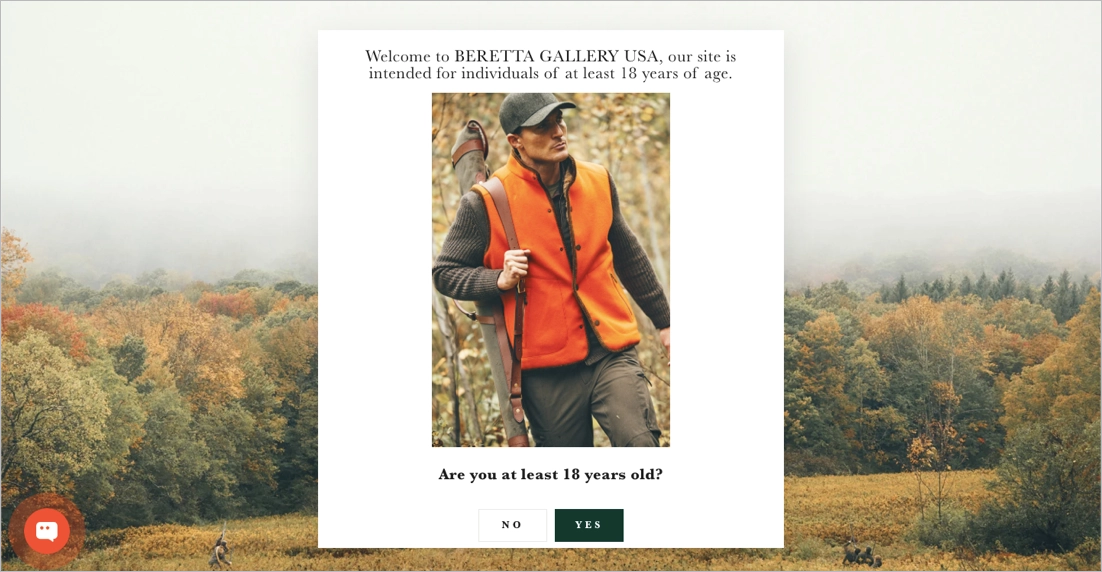 landing page which goal is to verify visitors' age before granting access to the main website