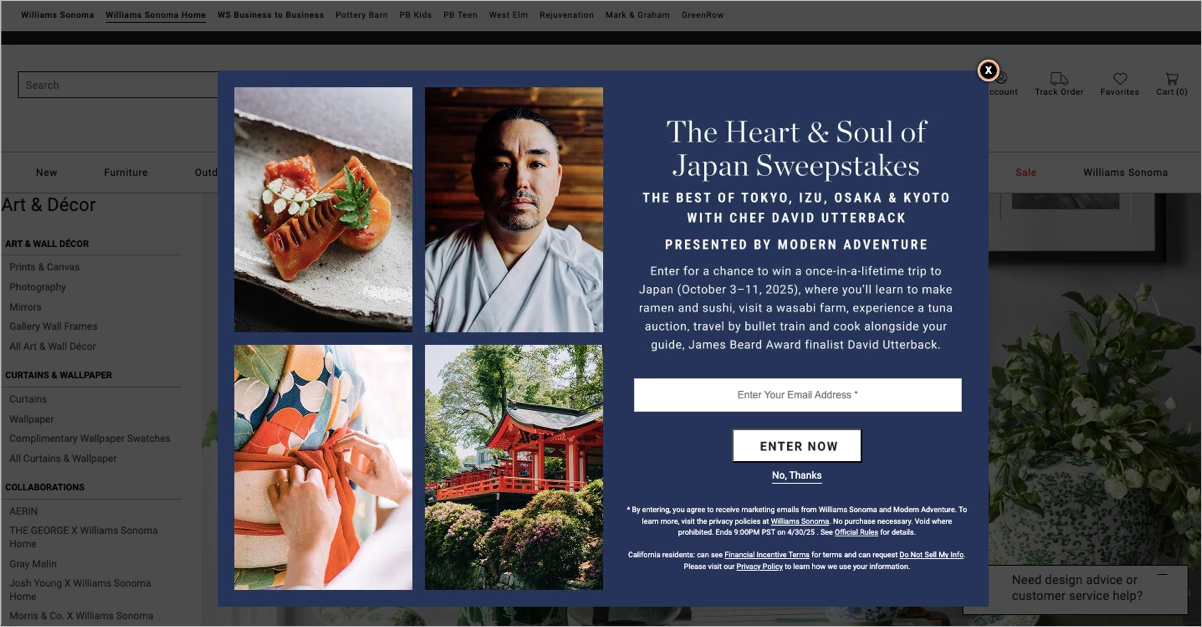 William Sonoma - a splash page which has a purpose of lead generation and introducing visitors to a promotion