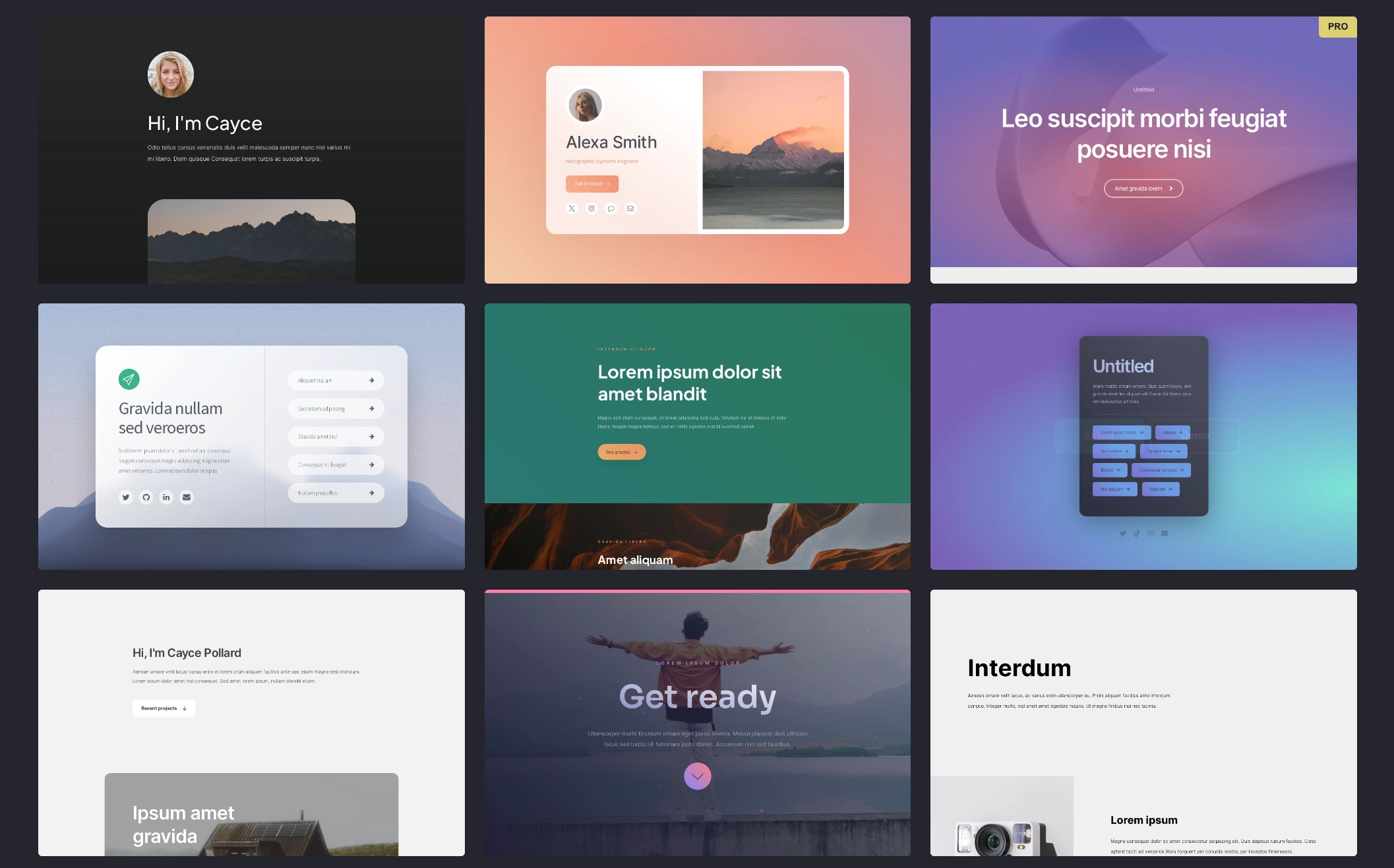 beautiful website templates in Carrd builder