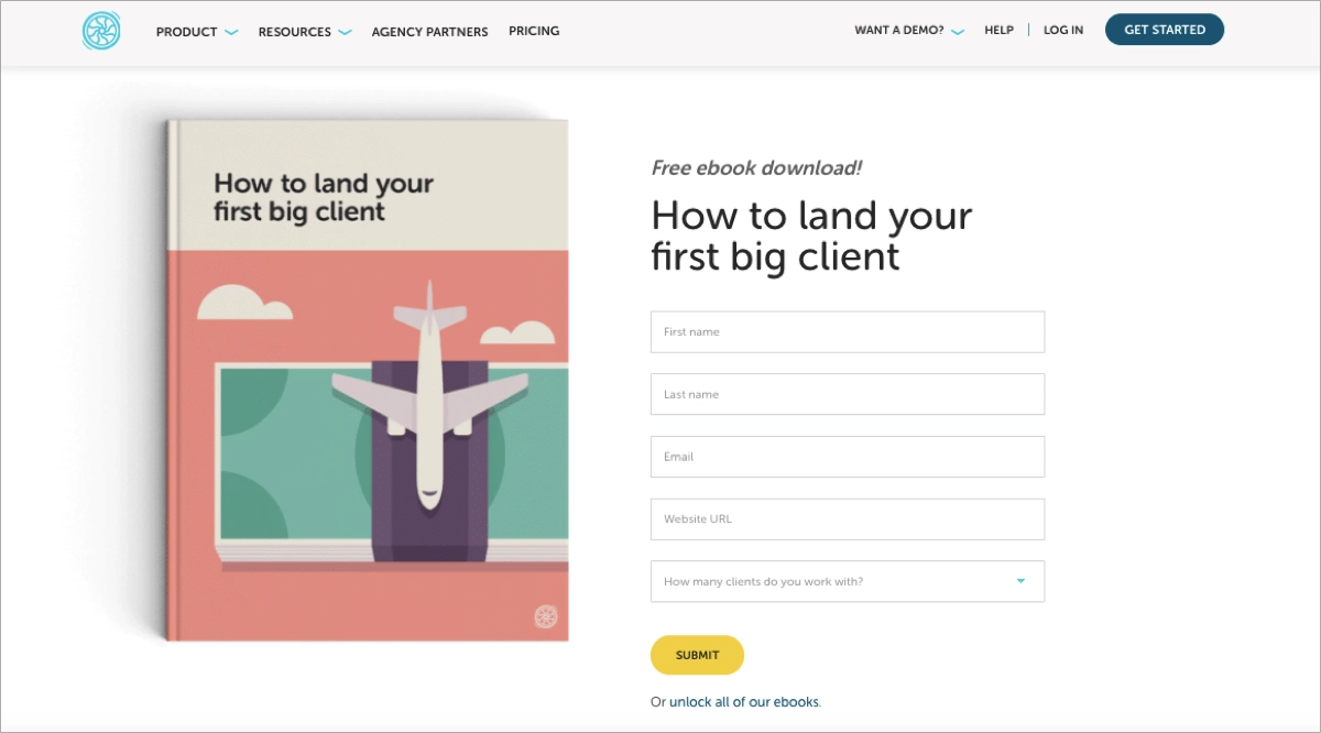 ebook landing page example