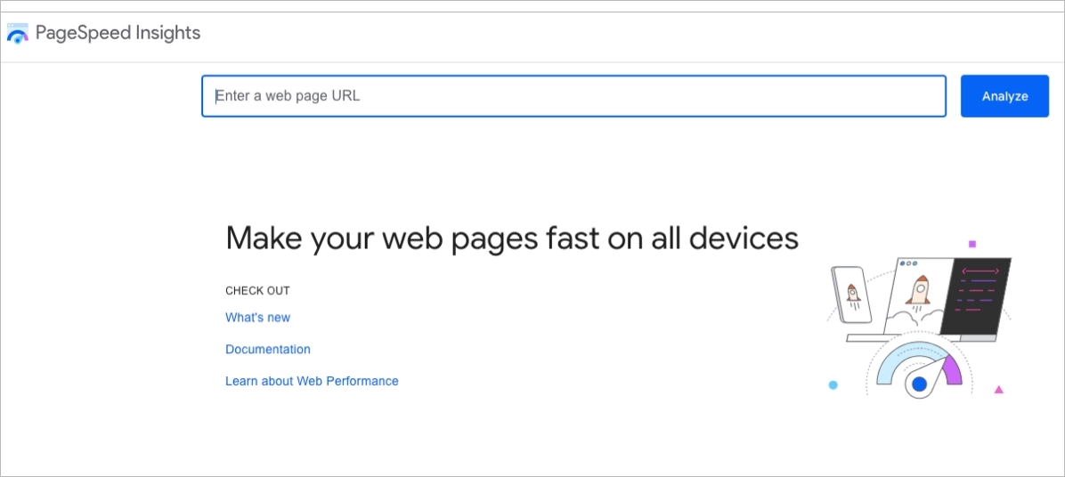 Google PageSpeed Insights Interface