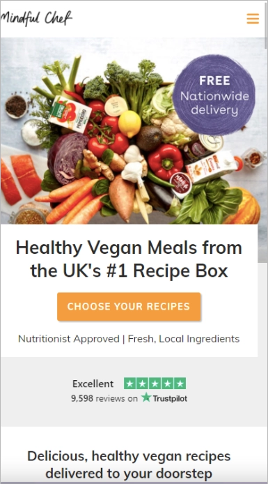 mobile landing page best example