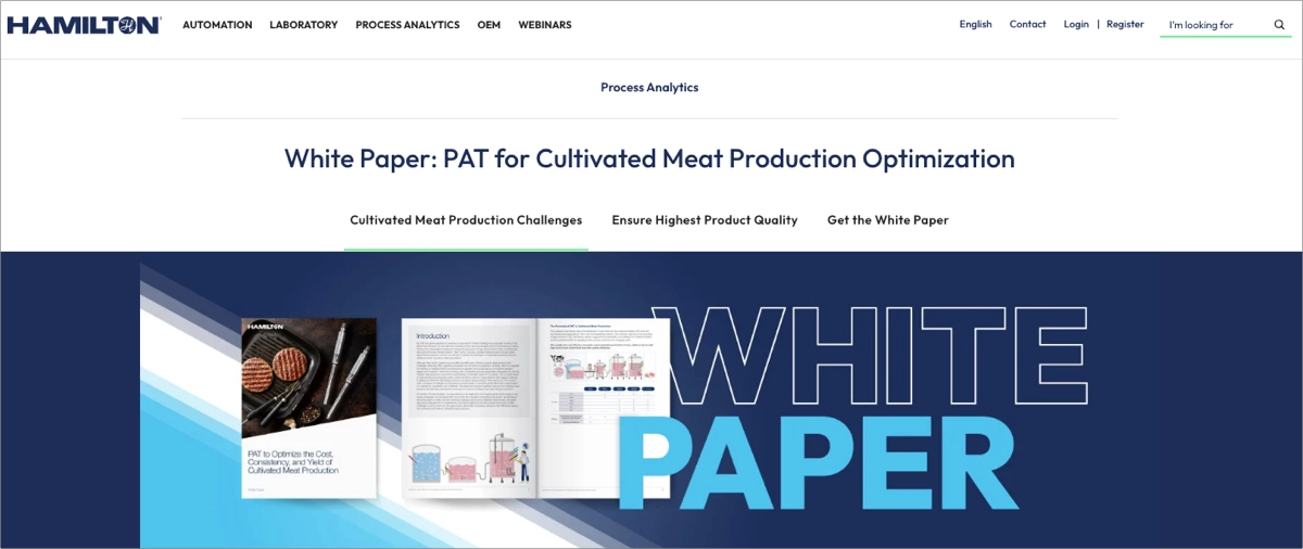 white paper download page with valuable information