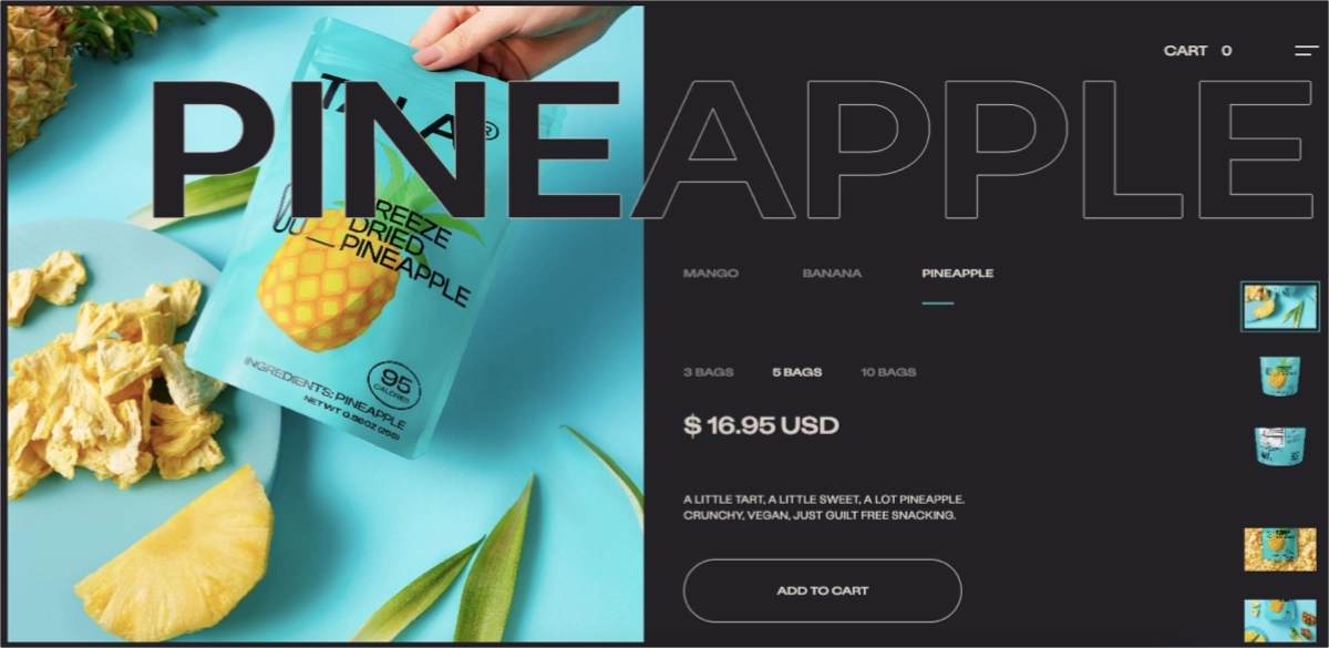 one of the best product landing page examples