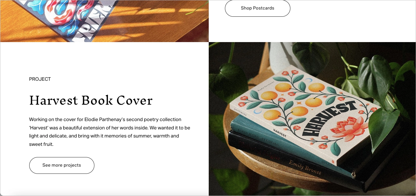 influencer landing page example