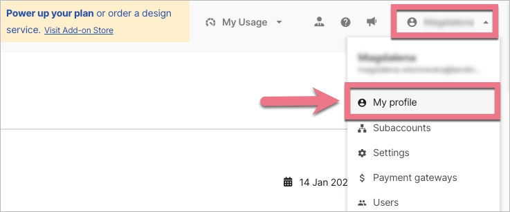 Navigating to My profile tab in Landingi