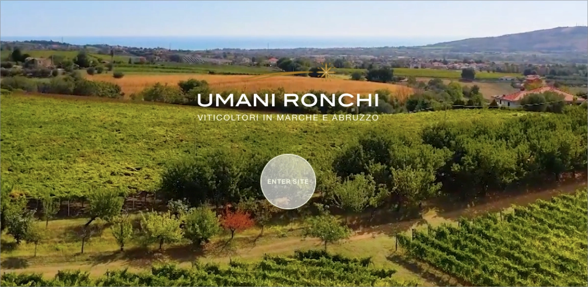 splash page enhancing user experience