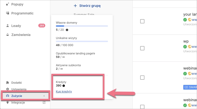 Saldo kredytów w Landingi