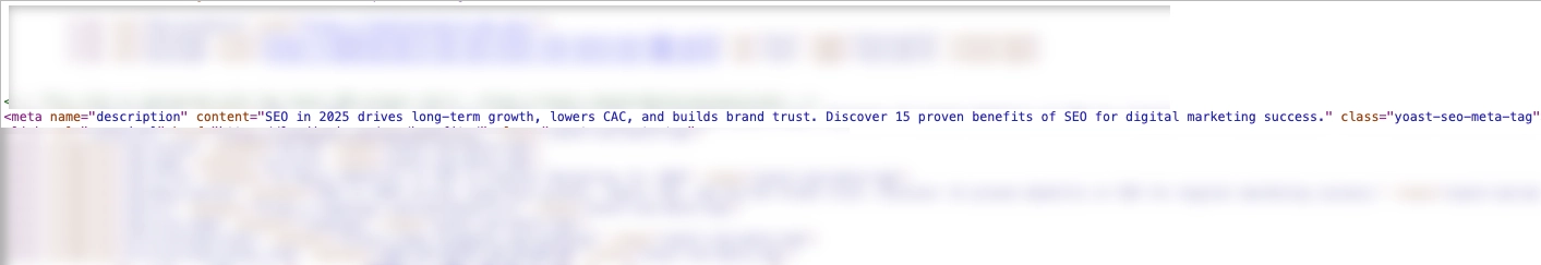 Correct Meta Description Example