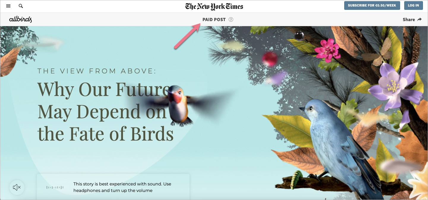 Native ad example from Allbirds on The New York Times website promoting sustainability through storytelling.